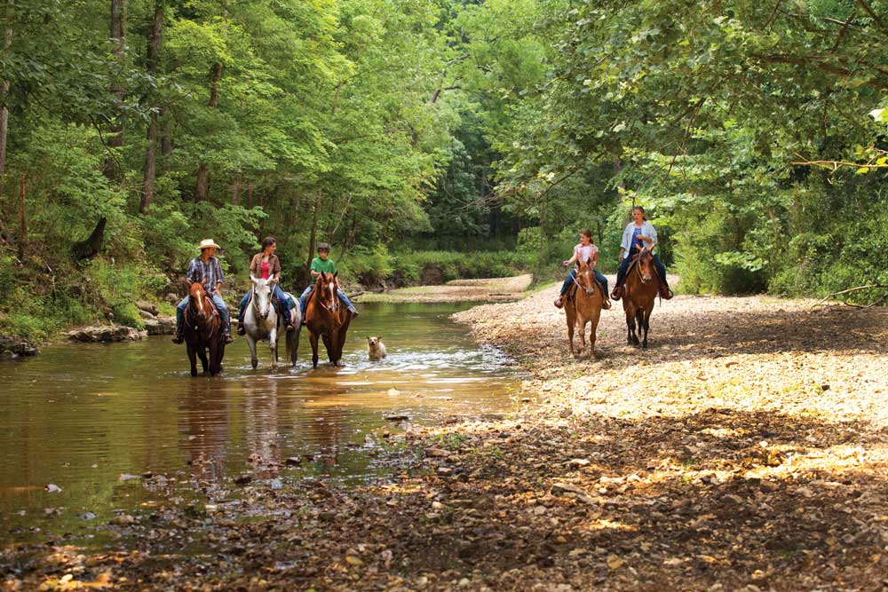 Land Between the Lakes Camping in Tennessee and Kentucky 