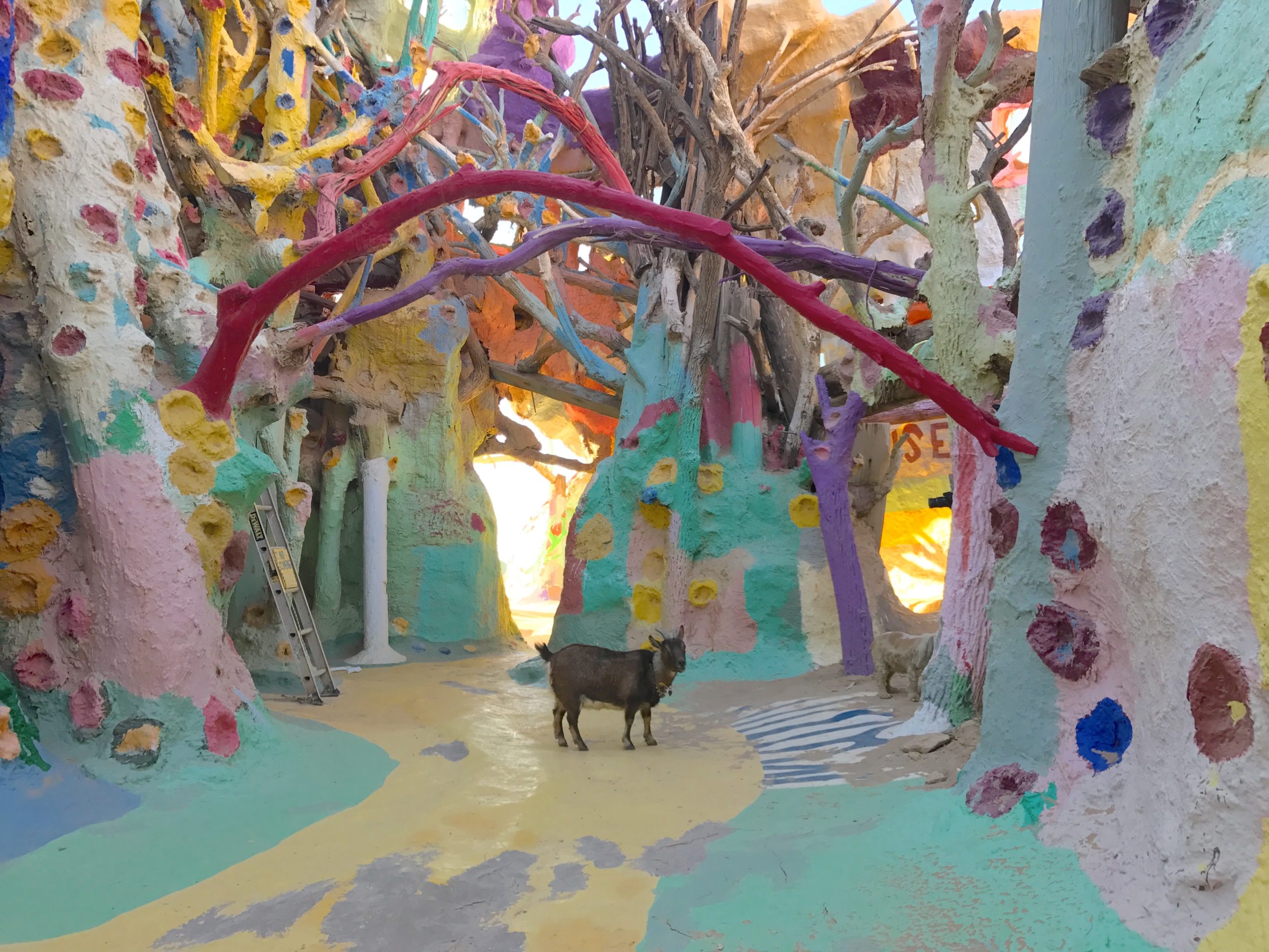 Colorful art walls with goat at Salvation Mountain 