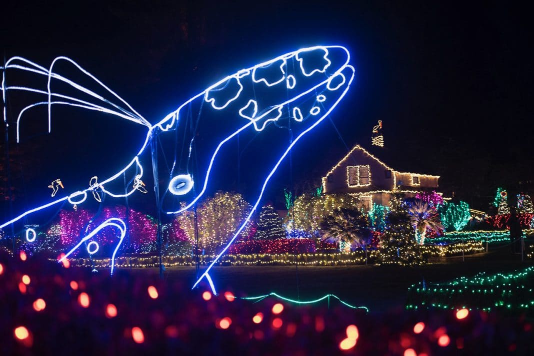 Holiday lights displaying blue humpback whale and colorful lights on houses
