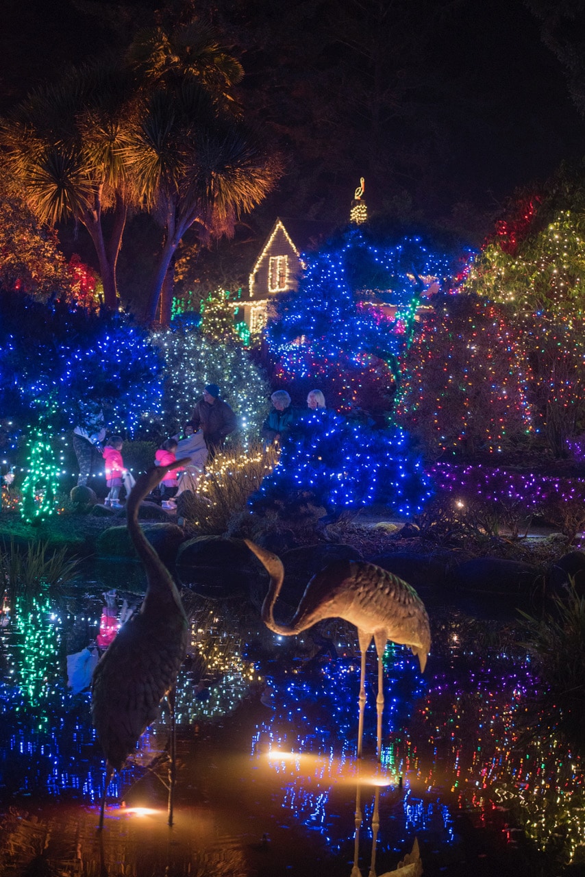 Holiday lights of blue, green, yellow and pink on houses near pond