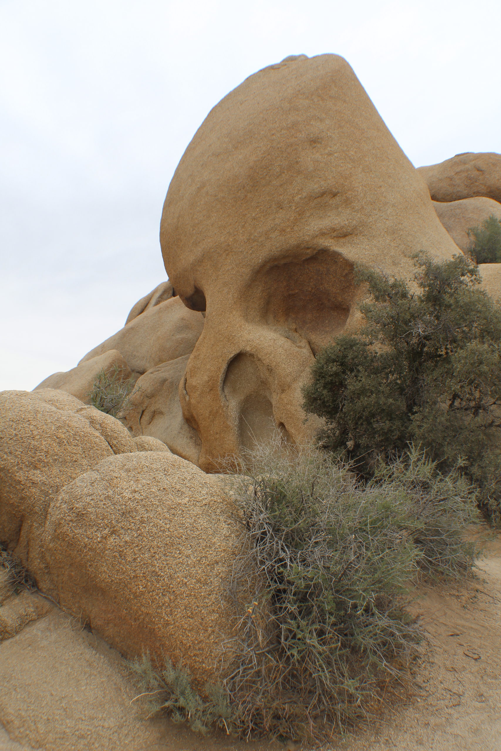 Elaborate rock formation at Joshua Tree