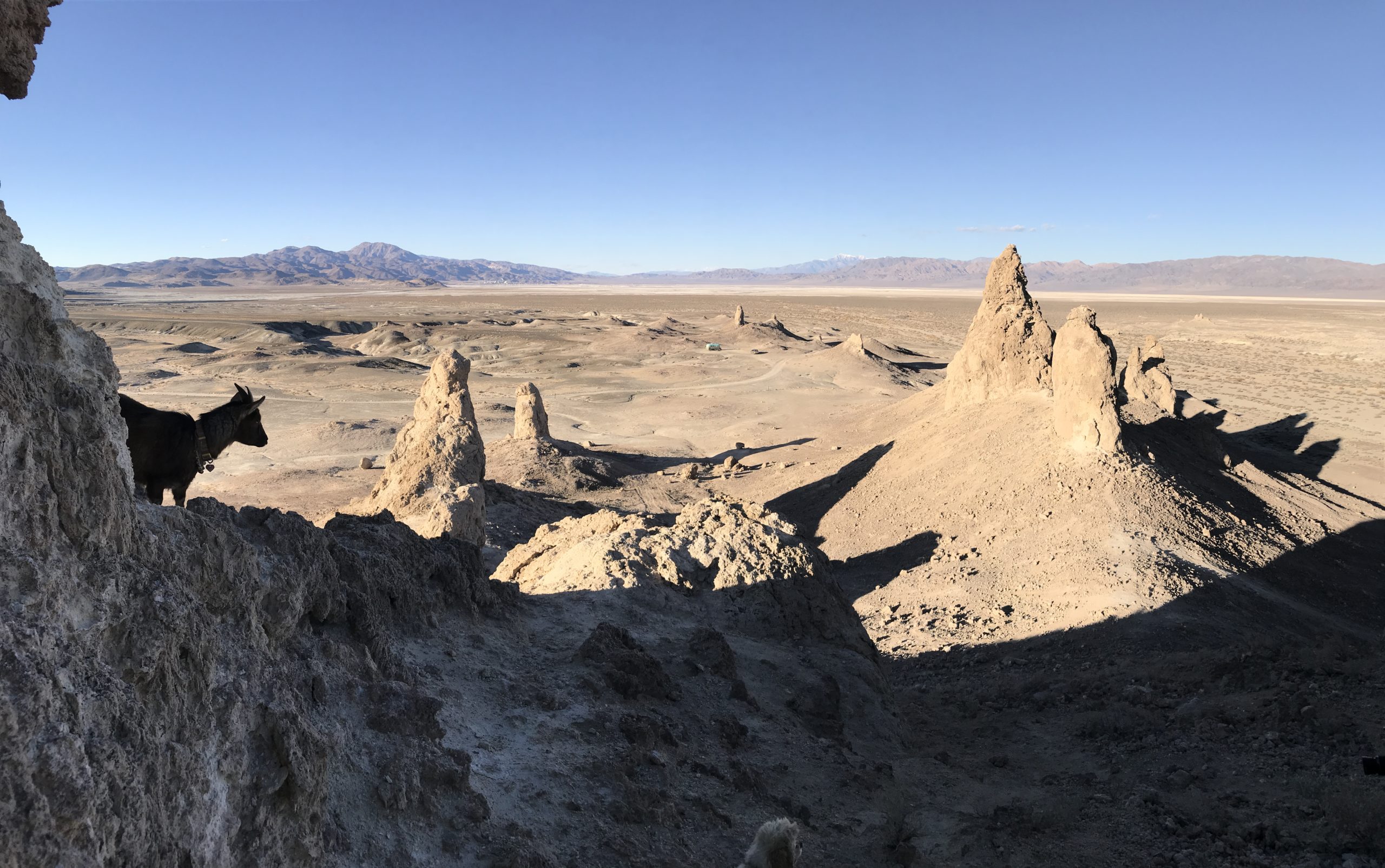 Rocky formations from mountain at Trona Pinnacles with goat in left corner