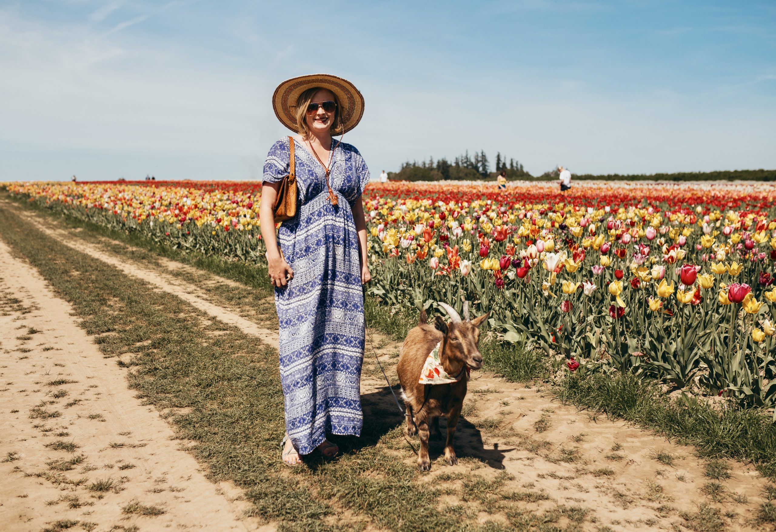 Woman in dress standing in tulip field with goat