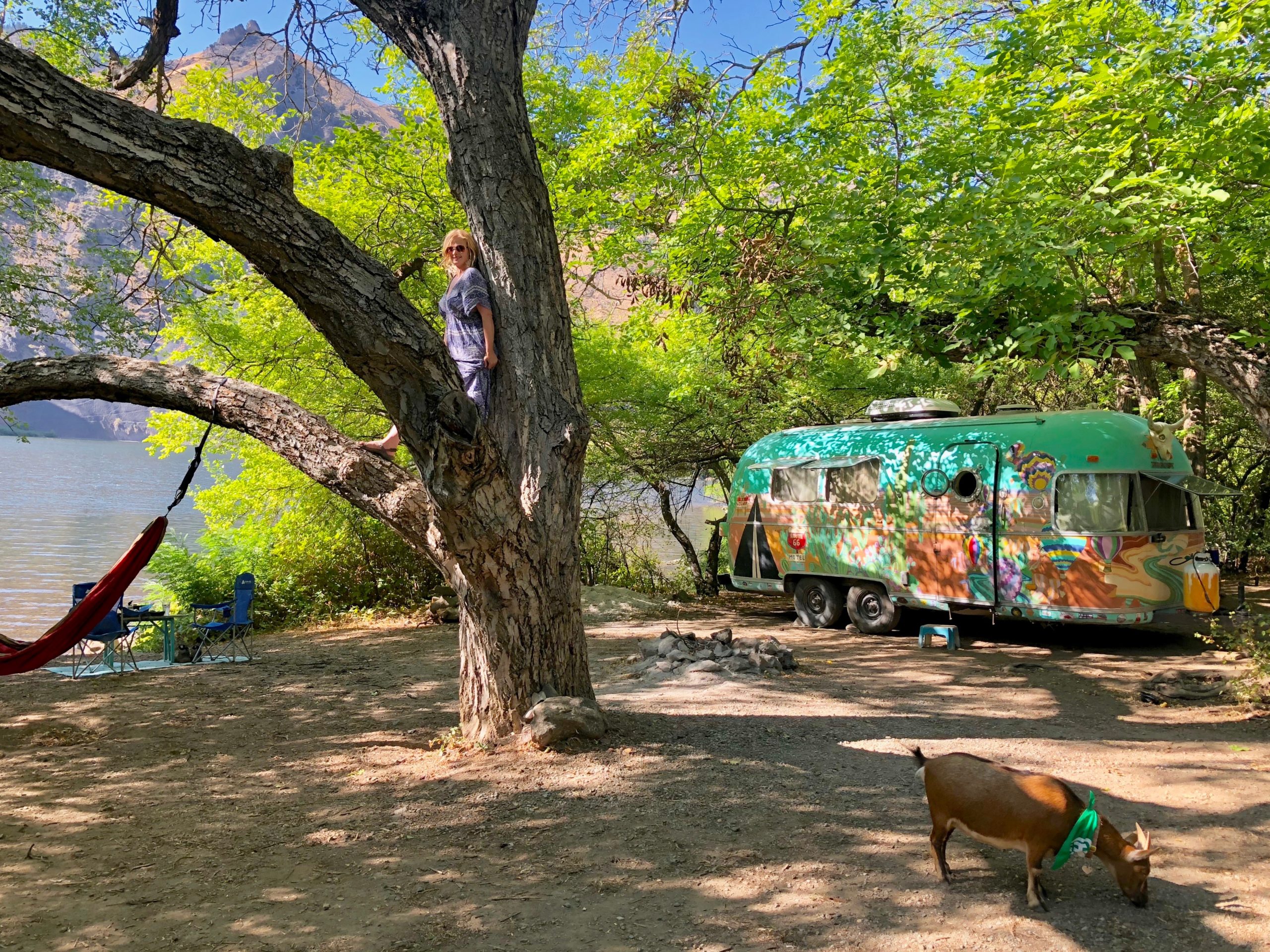 Woman standing in tree posing at beautiful lakeside area with colorful trailer