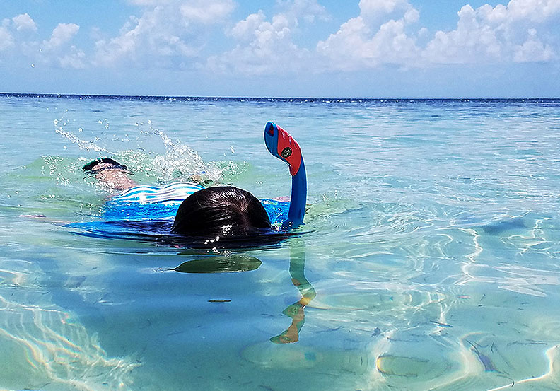 A snorkeler swimming on the surface of the ocean.