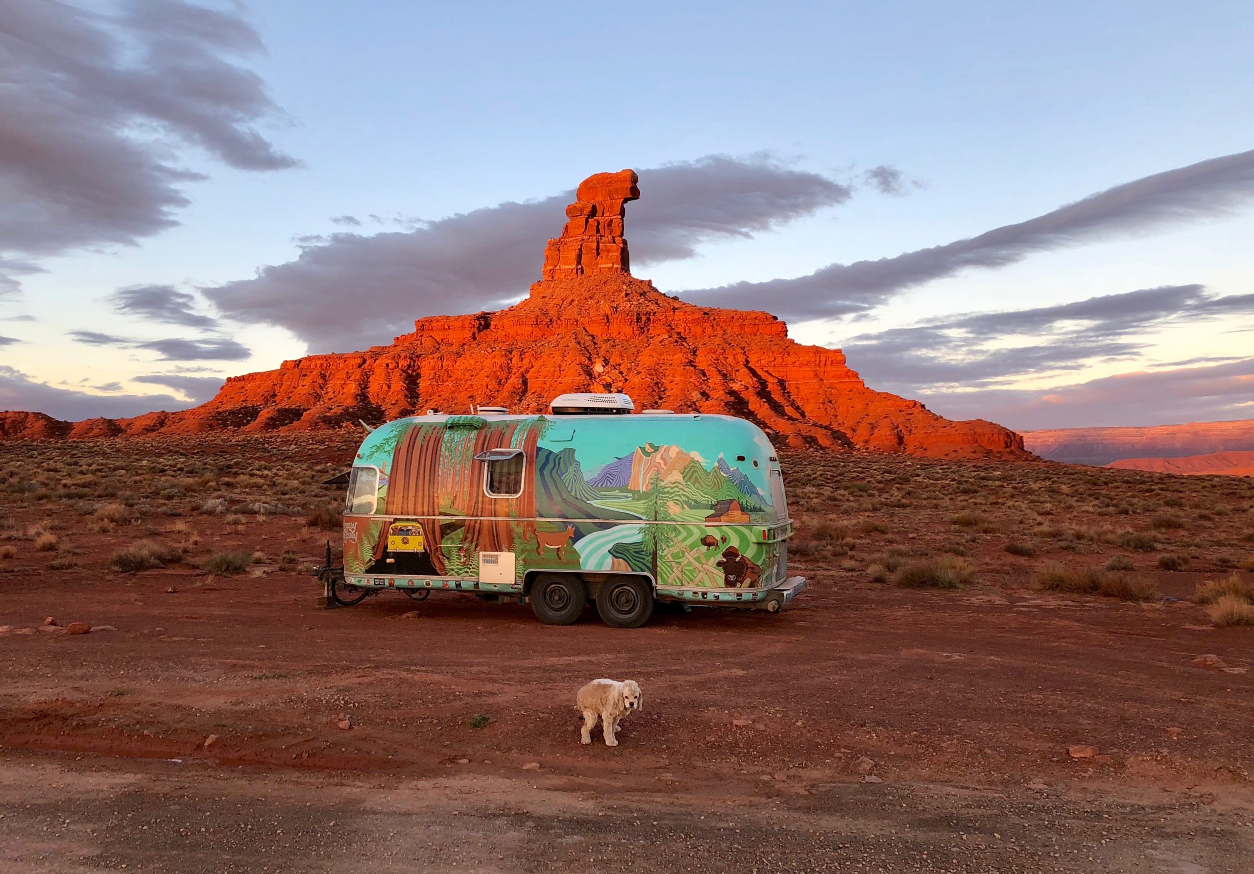 Dog pooping in front of colorful Airstream trailer at Valley of the Gods, Utah