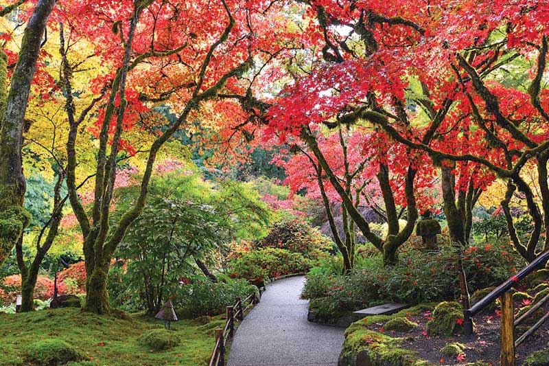 Butchart Gardens in the fall