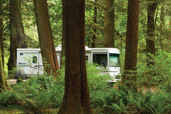 Campgrounds in Prairie Creek Redwoods State Park are surrounded by tranquil, natural beauty; motorhomes are restricted to 27 feet or less in length.
