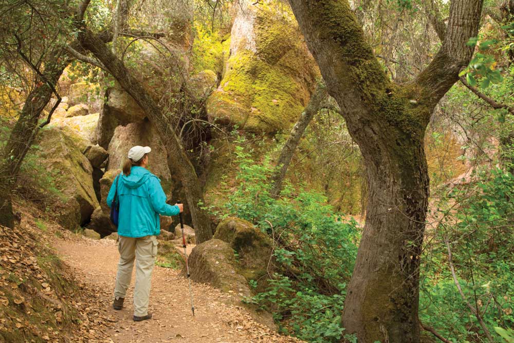 The challenging hike to High Peaks at Pinnacles NP results in a good chance for condor sightings.