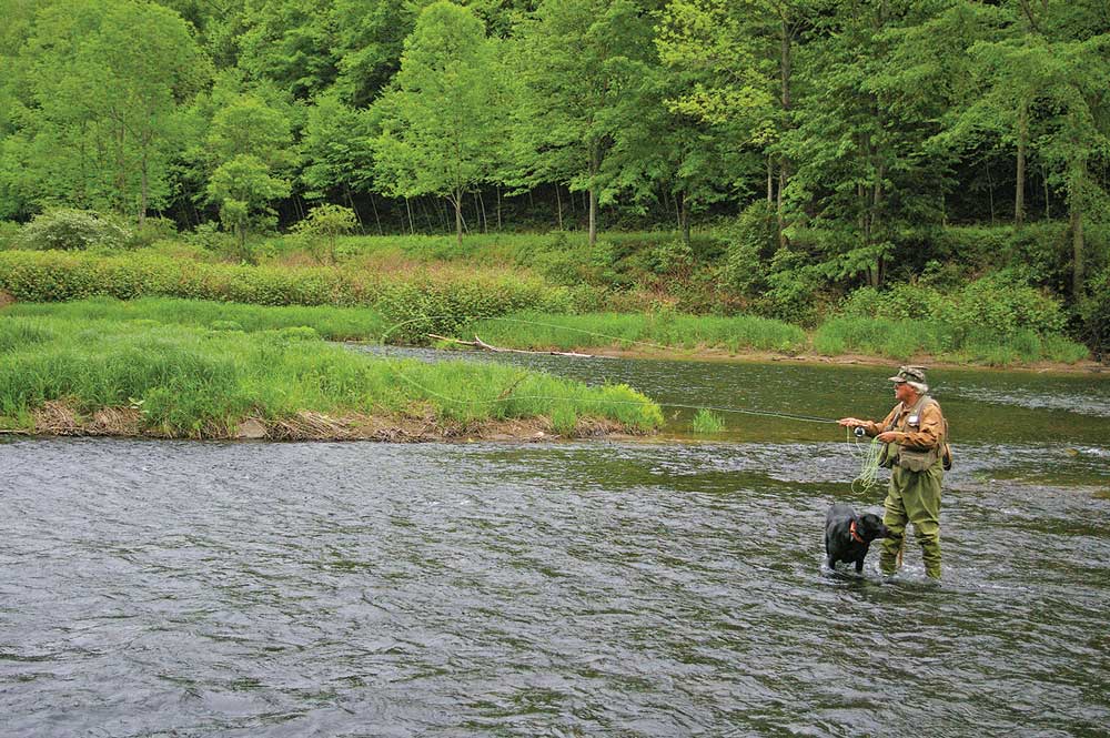 Bob Childs of Big Meadows Fly Shop fishes Pine Creek with his trusty companion, a black Labrador known as Sir Odie of Ansonia. 