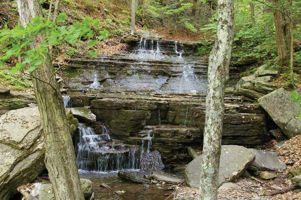 The Turkey Path Trail down to the bottom of the canyon is a steep walk, but the waterfalls along the way make it worth the trek.