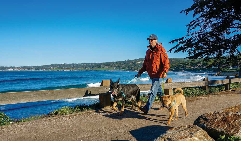A man and two dogs walk along the California coast at Carmel.
