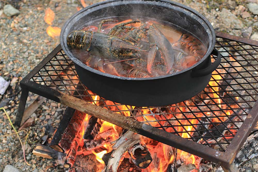 Fresh lobster, cooked in seawater, is on Experience Twillingate’s menu.