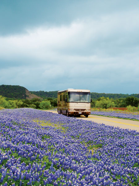 Lavender growing along side of highway with large tan motorhome driving on cloudy day