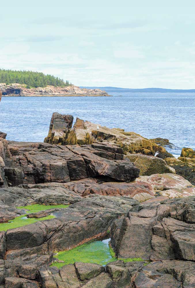 Rough granite stones outline Thunder Hole along the Park Loop Road.