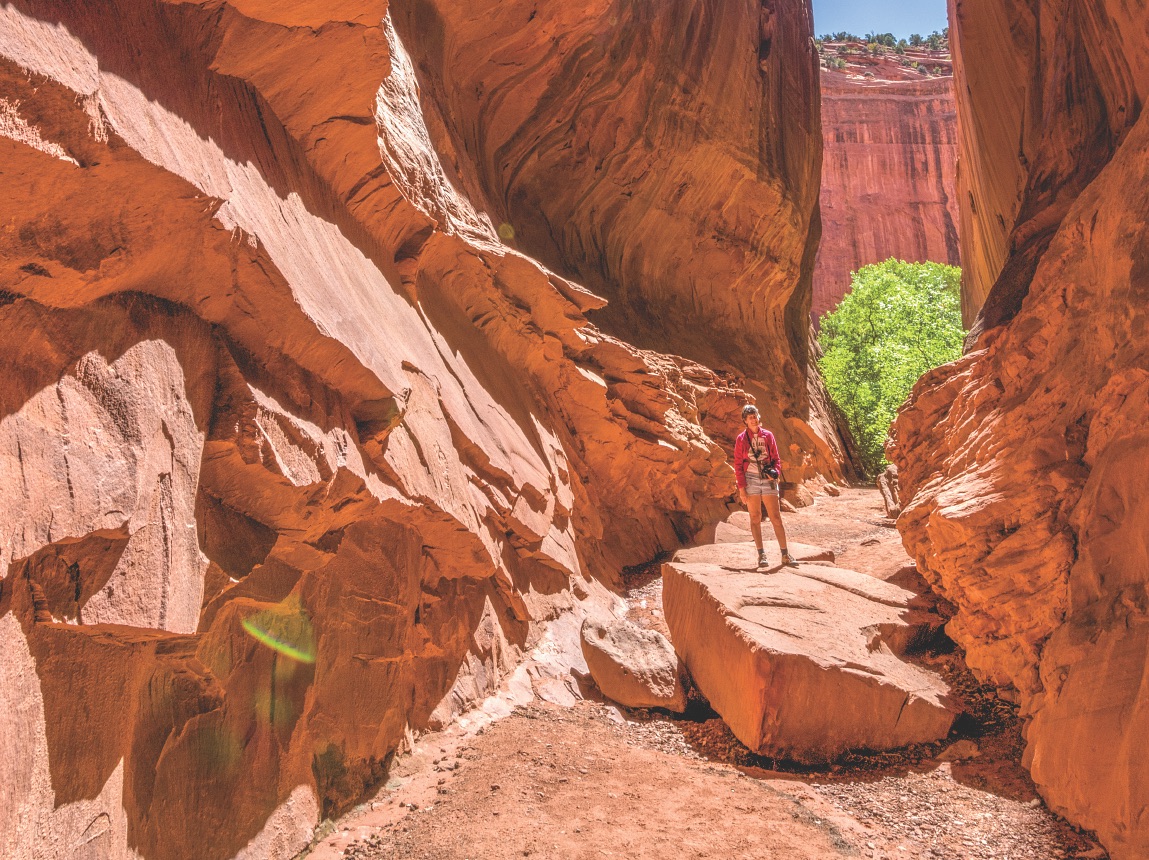 Utah's Red Rock Country is amazing for campers and hikers