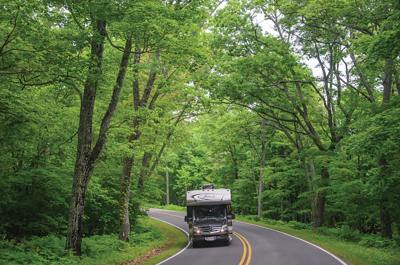 Driving under a green canopy on the Blue Ridge Parkway.