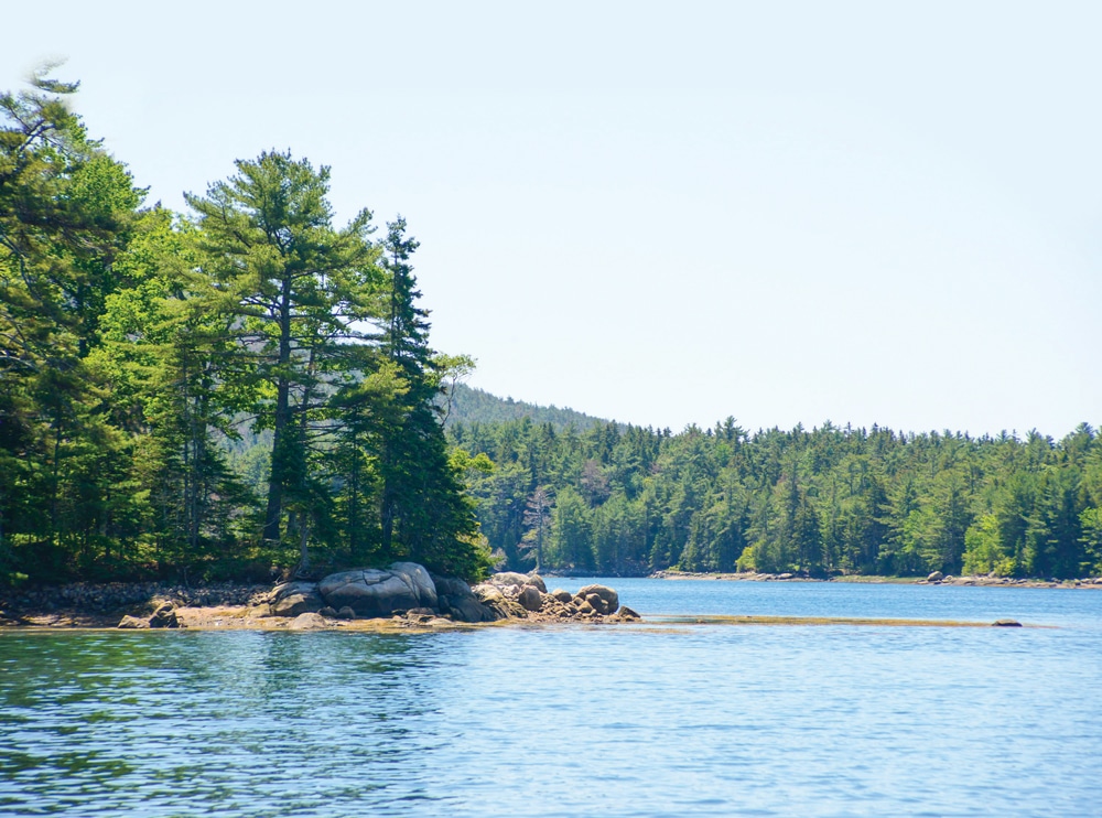 Pines stud the hills down to Somes Sound, which splits the island and is the only fjard in the Lower 48 states.