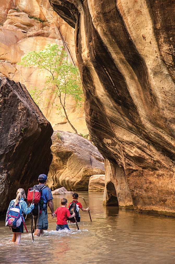 A hike through The Narrows – aptly named, as it’s the narrowest section of Zion Canyon – requires walking through the Virgin River.
