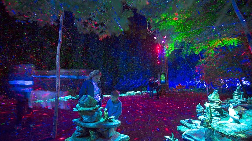 Foresta Lumina is a magical multimedia experience for all ages.