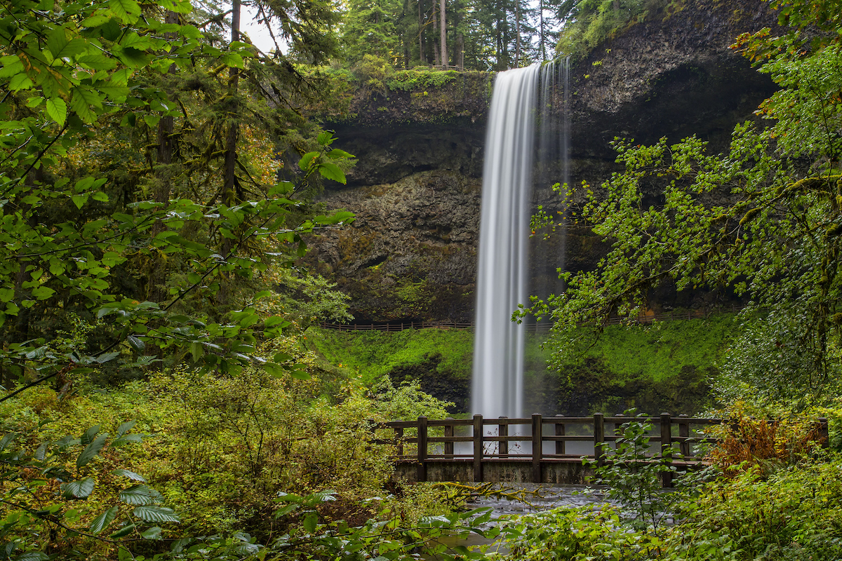 This beautiful 177 foot waterfalls is along the canyon rim in Silver Falls Park, Oregon.