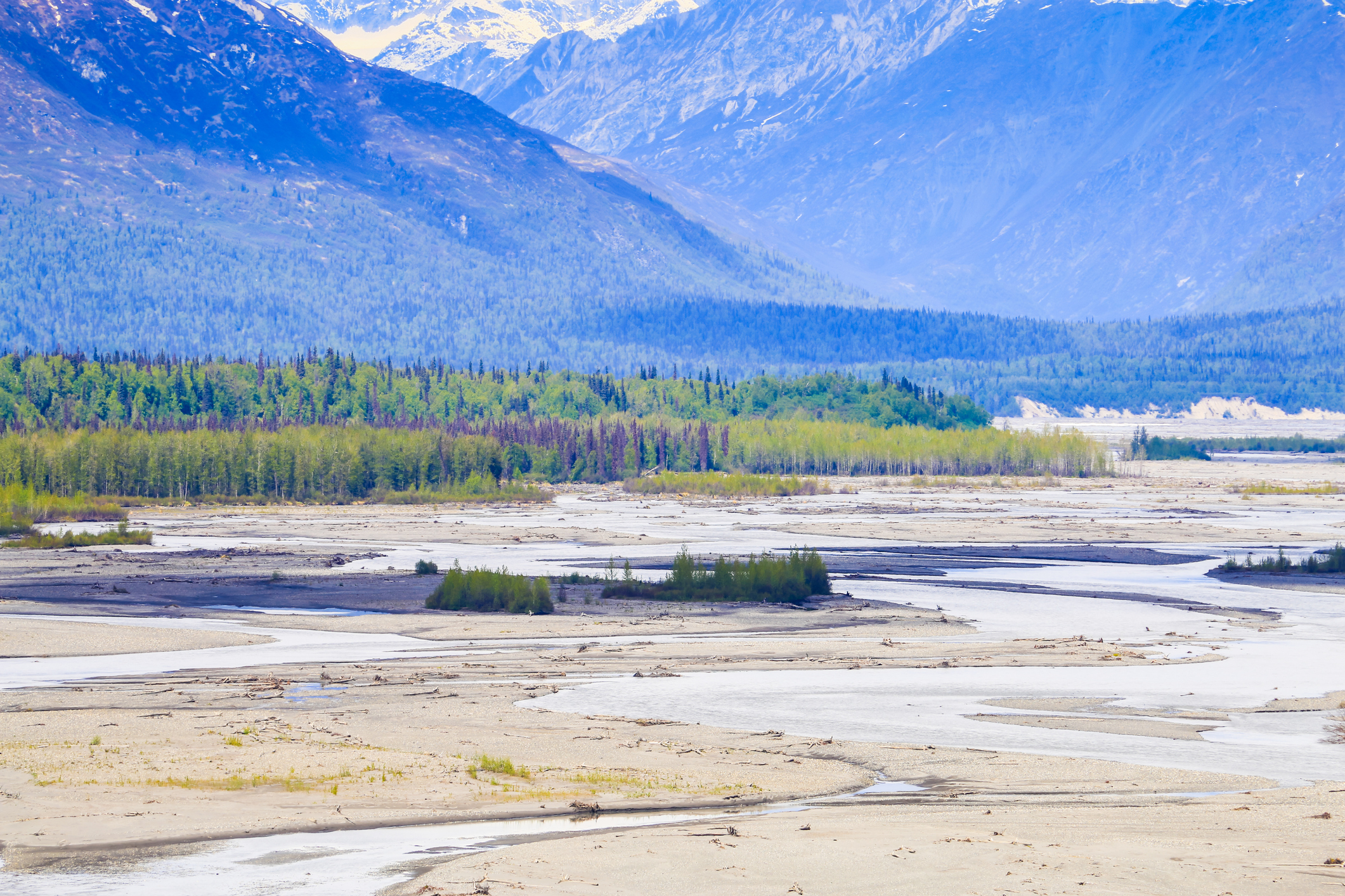 Denali State Park with rivers and moutains in the background.