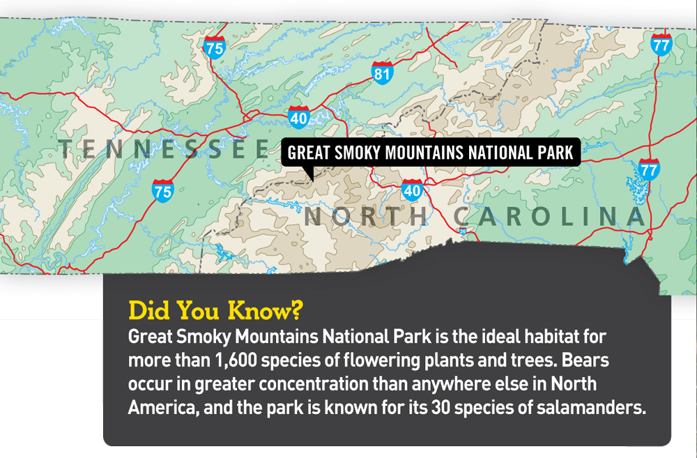 Official Map Smoky Mountains Campgrounds - Great Smokies Map 