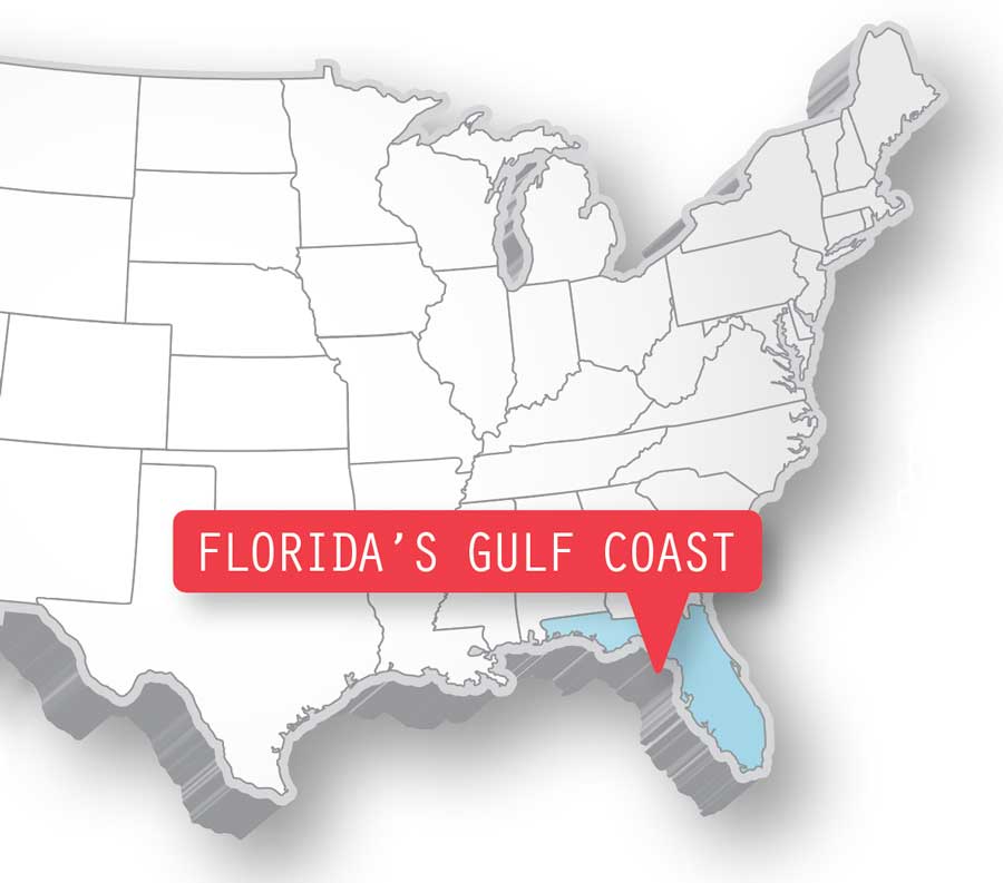 Gulf Coast Locator Map 