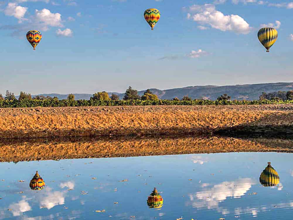 Three hot air balloons above the Napa Valley Expo RV Park