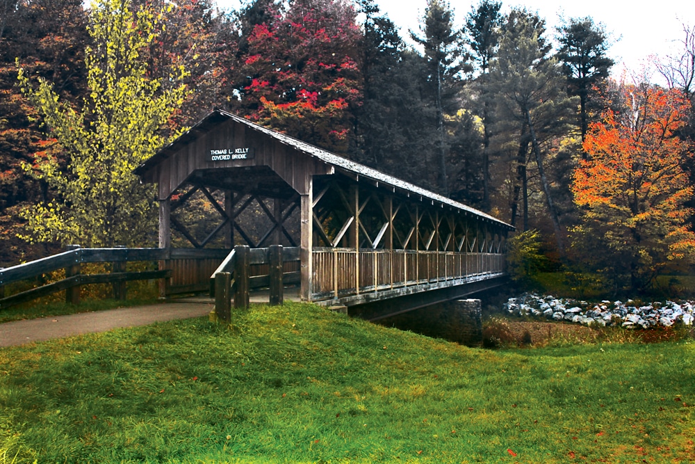 Allegany State Park A Recreational Gem in New York State
