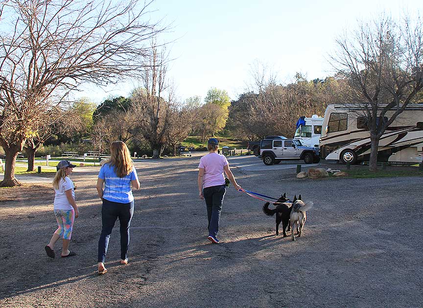 Three people walking two dogs at RV campground