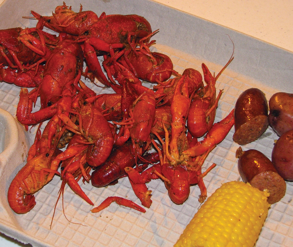 Mad for Mudbugs, Crayfish, Mudpups, Crawdaddys, Crawfish