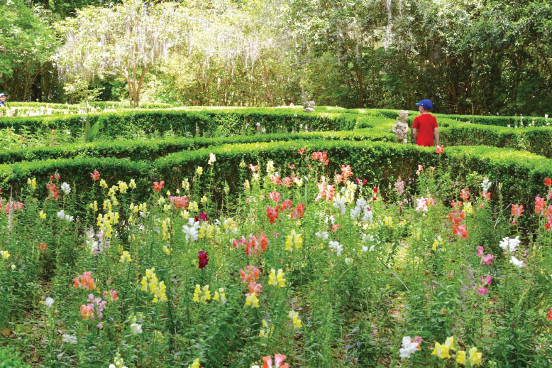 Flower gardens at Magnolia Plantation and Gardens