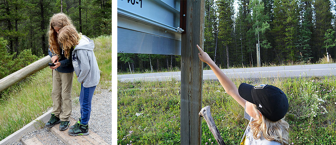 Two children looking at a GPS, and a boy points to a geocache.