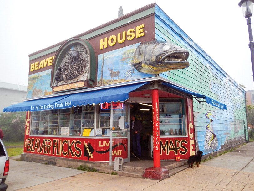 The head of a huge fiberglass walleye pokes out from one corner of the iconic Beaver House bait shop in Grand Marais, and its tail pops out the other side.