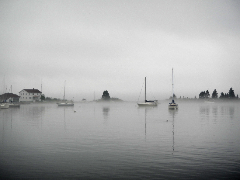 Anchored in a small cove, sailboats bob in the morning mist. 