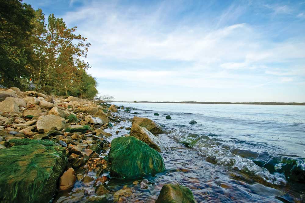Photo of Lake Barkely, Tennessee shoreline