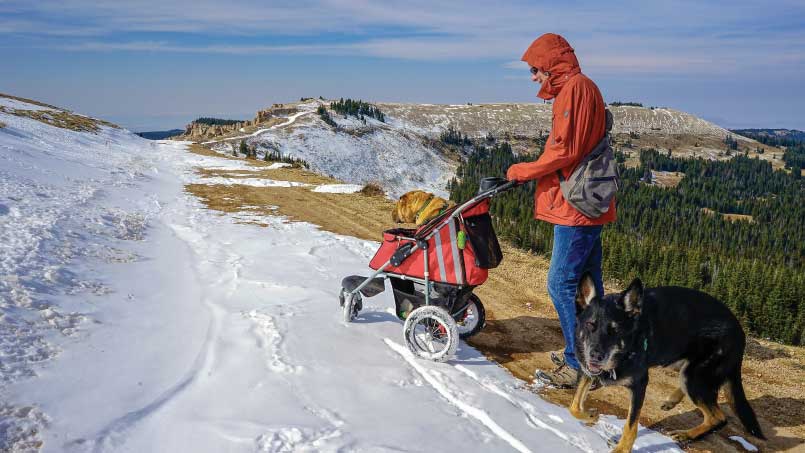 A man with dogs, one in stroller, in the snow at Medicine Wheel