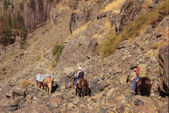 A stock train ambles along the Imnaha River Trail, located in the Eagle Cap Wilderness in the Wallowa-Whitman National Forest.