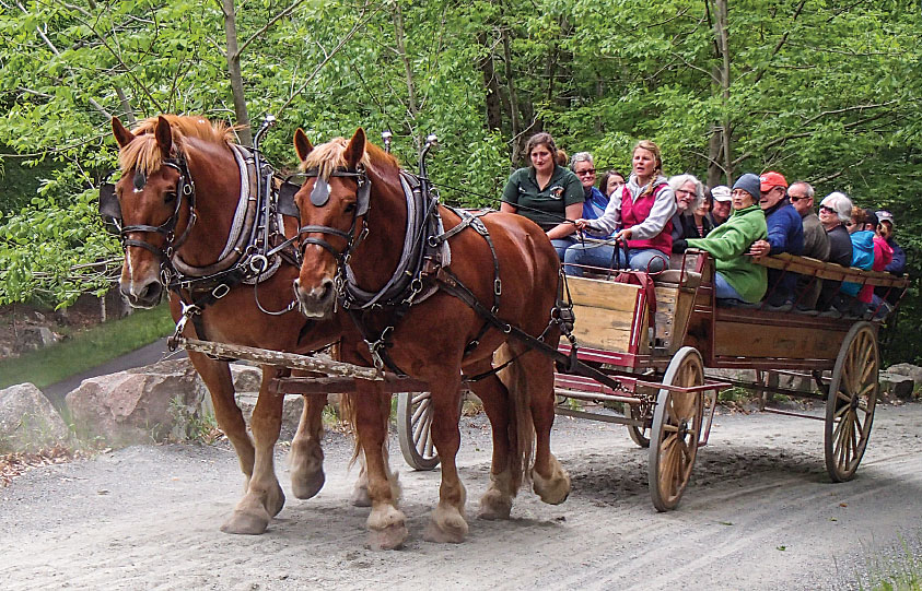 A horse-drawn wagon takes visitors on a tour along Acadia’s famous carriage roads.