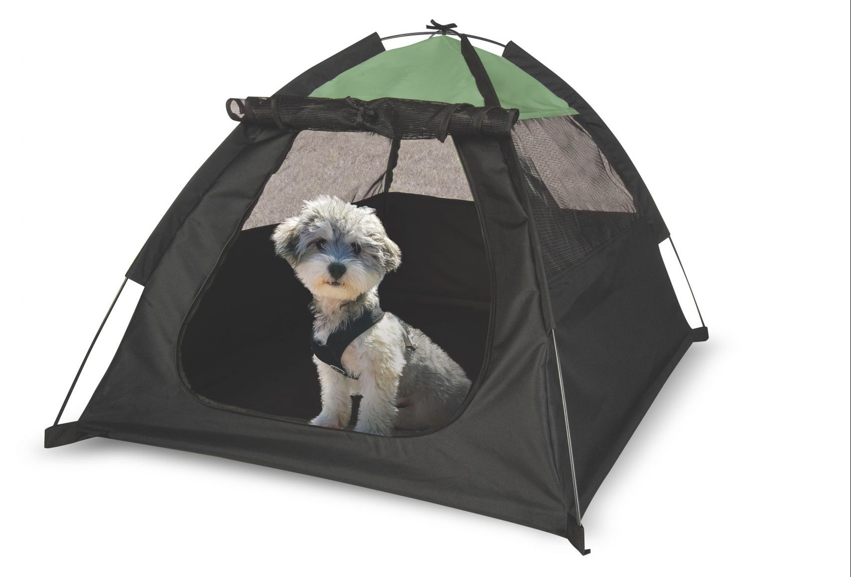 Pet Essentials Great Gear to Keep Your Pet Safe
