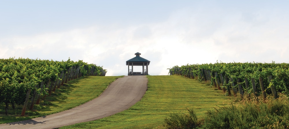 Shelton Vineyards, the largest family-owned estate winery in North Carolina, hosts events on the grounds like a summer concert series.