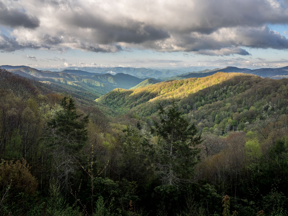 Stunning views abound at Great Smoky Mountains National Park. Spring showers are common, but the resultant budding trees and wildflowers make the raindrops well worth the seasonal trip.