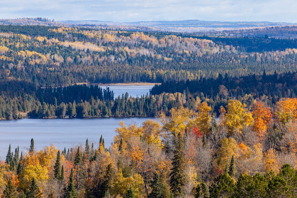 Superior-national-forest