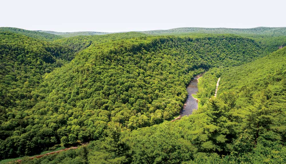 Pennsylvania’s Grand Canyon is a land of rugged beauty with large tracts of state forest and state parks.