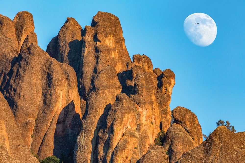 The park’s namesake spires are remnants of an ancient volcano that came to rest in the Salinas Valley of central California nearly 200 miles from where it originally stood.