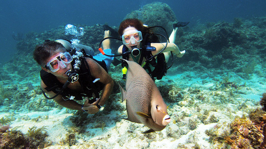 Two divers following a fish in a coral reef area.