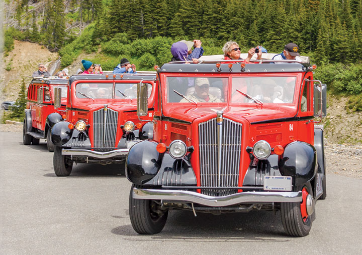 Vintage red buses in Glacier National Park on Going to the Sun Highway