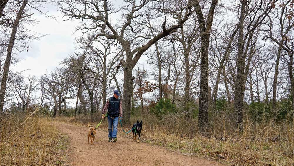 A man with two dogs strolls down path in the Wichita Mountains Wildlife Refuge.
