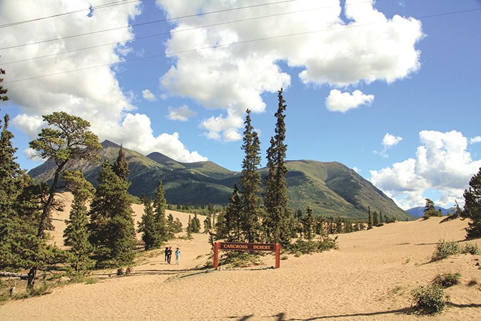 The sand dunes north of Carcross are remnants from the last ice age.